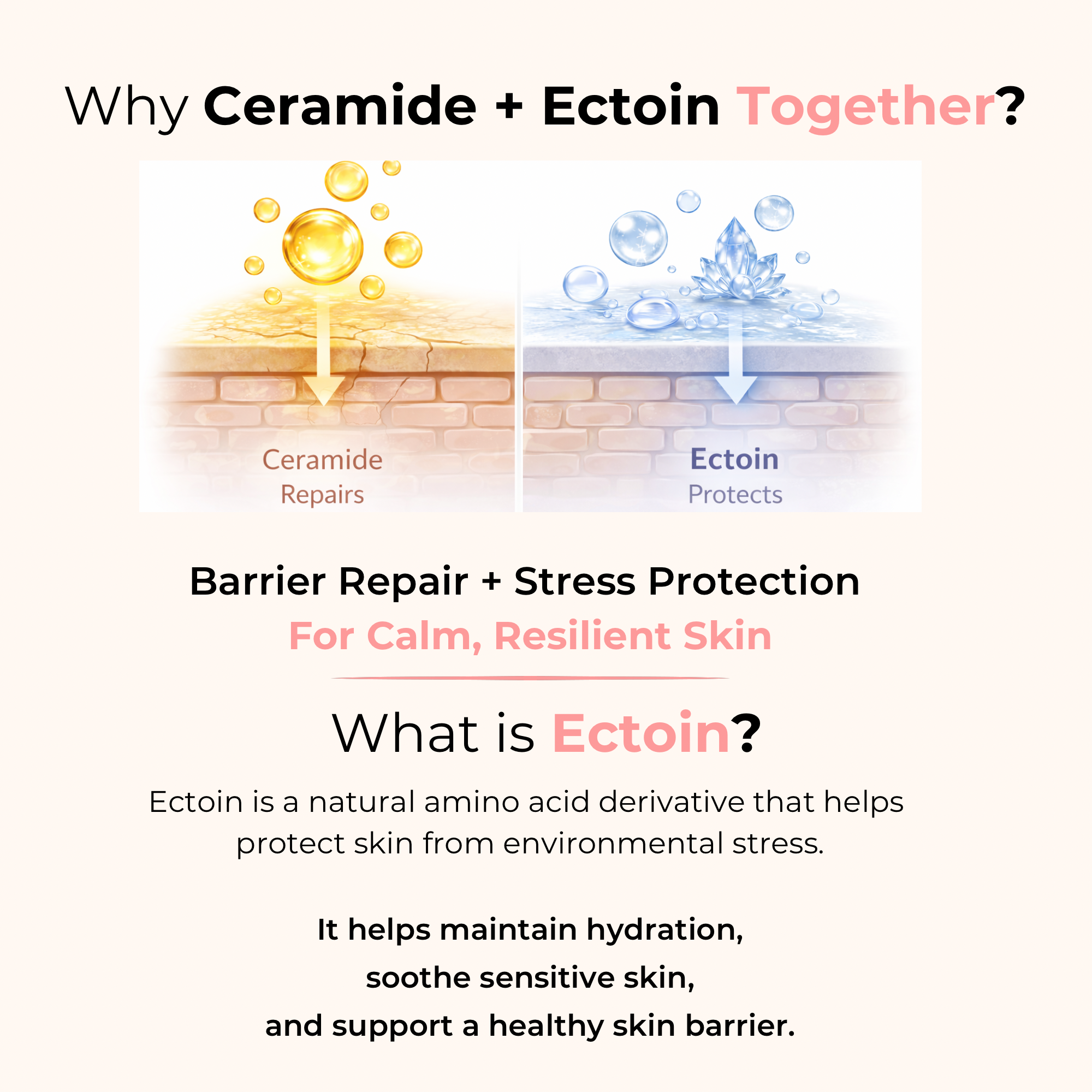 Ceramide + Ectoin Lotion