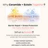 3-Step Skin Barrier Repair Set