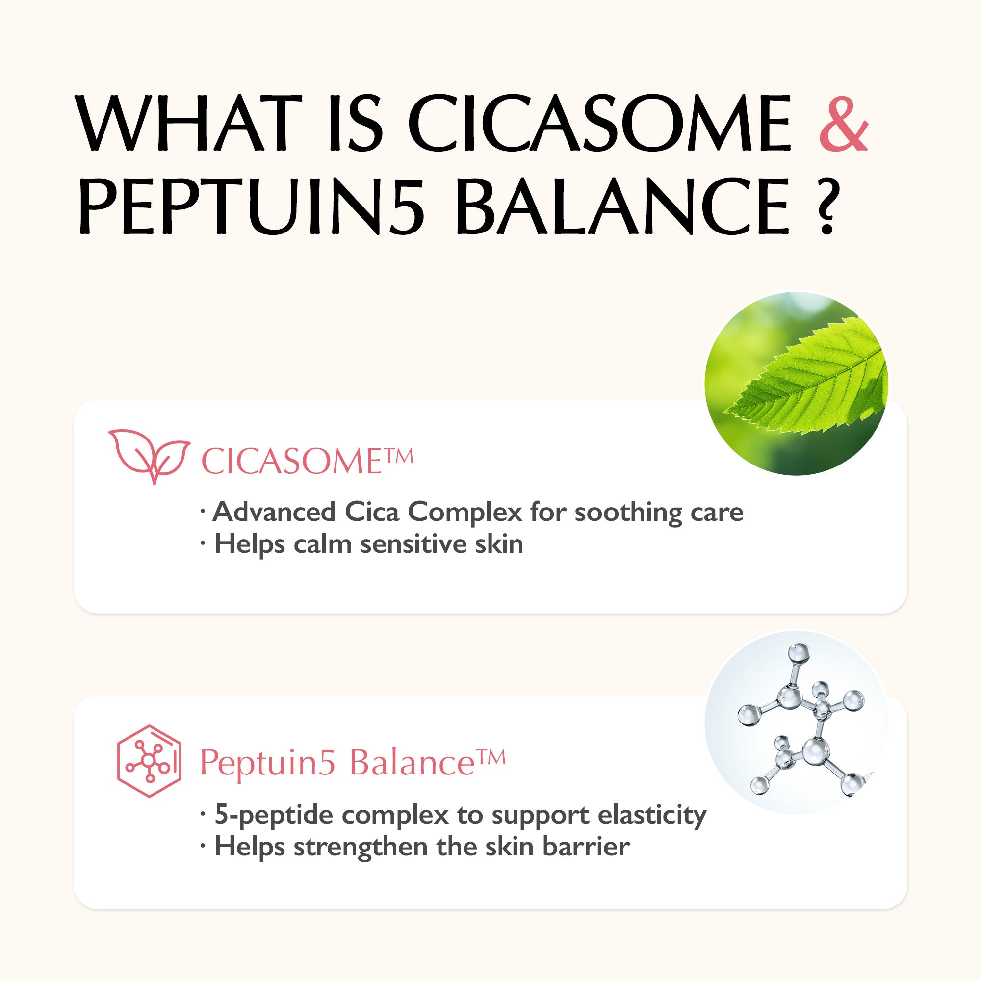 Cica + 5 Peptide Cream – Firming & Repair Korean Skincare Moisturizer | SFROMS